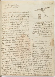 Flug der Vögel, c. 1505-06, Manuskript, Blatt 16 (recto)